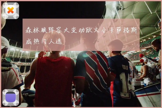 森林狼阵容大变动欧文小卡萨格斯成热门人选